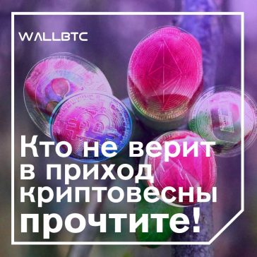 Биткоин достиг отметки 5295 долларов за час!
